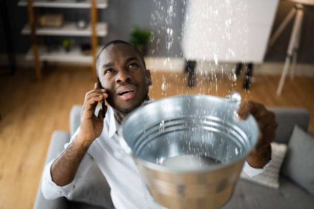 Best Water damage repair service  in Valencia, NM