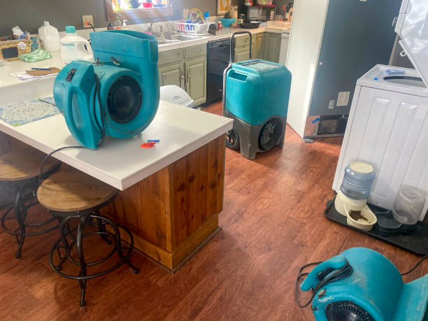 Best Water damage contractors near me  in Valencia, NM