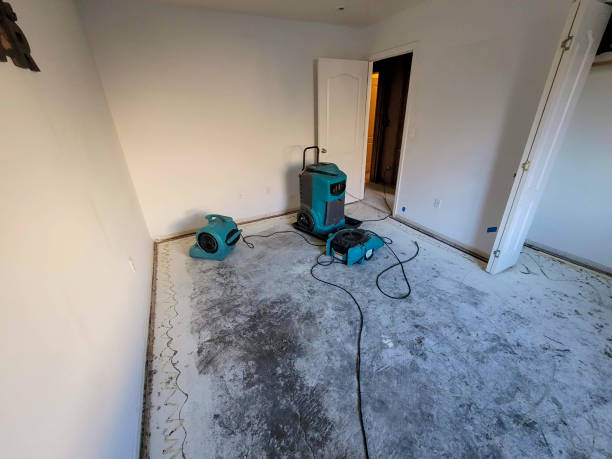 Best Residential water damage restoration  in Valencia, NM