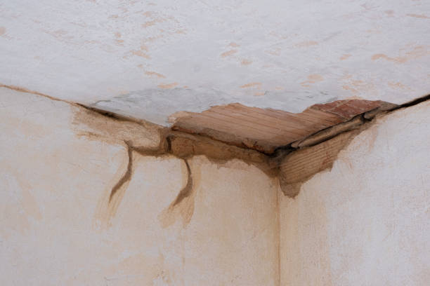 Best Flood restoration services  in Valencia, NM
