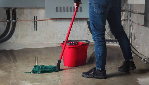 Best Carpet water damage restoration  in Valencia, NM
