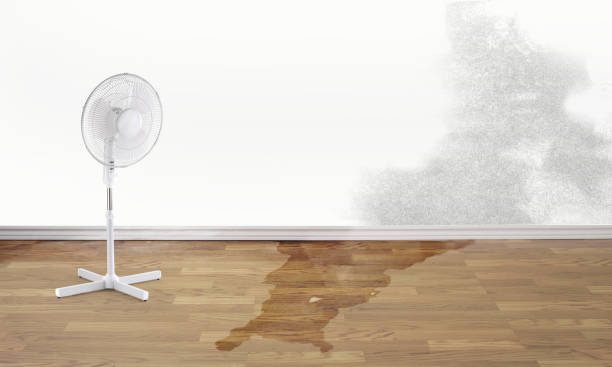 Best Residential water damage restoration  in Valencia, NM