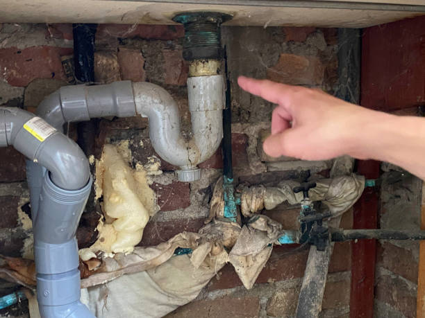 Best Mold removal after water damage  in Valencia, NM