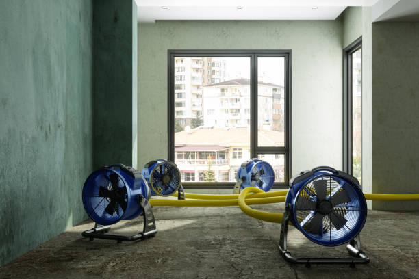 Best Water damage restoration near me  in Valencia, NM