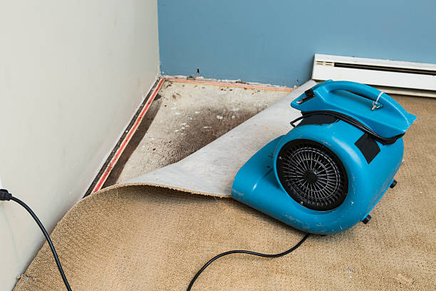 Best Flooded house restoration  in Valencia, NM